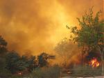 SoCal Fire!! Smoke and ashes are killing me!!!-unknown-1.jpeg