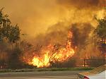 SoCal Fire!! Smoke and ashes are killing me!!!-unknown.jpeg