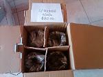 OEM 2005 springs 6mt-img00273-20101020-1439.jpg