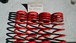 Skunk2 lowering springs-2012-02-26_13-45-51_796.jpg