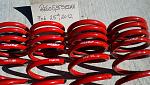 Skunk2 lowering springs-2012-02-26_13-46-12_362.jpg