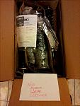BC Coils &amp; SPC Camber Kits-3.jpg