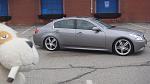 V36 AWD Coilovers Finally Available - installed!-dsc02485.jpg