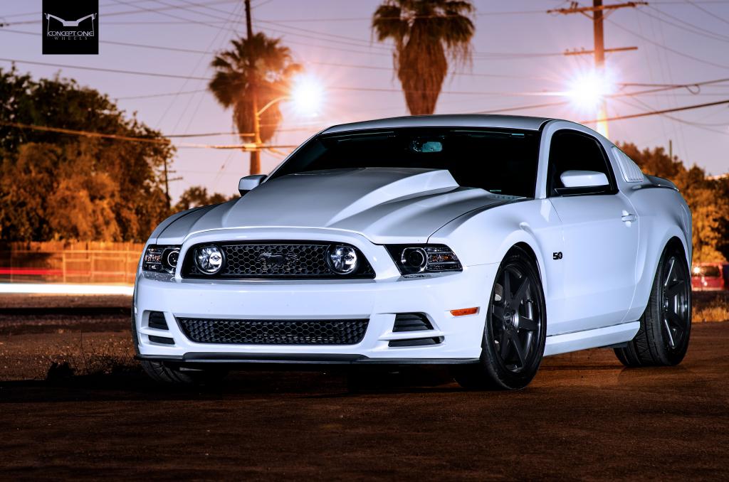 Name:  Mustang-GT-16_zps80d8d086.jpg
Views: 182
Size:  98.0 KB