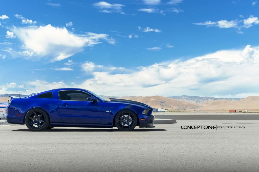 Name:  Mustang-4lr_zpsbe115ec9.jpg
Views: 6
Size:  66.6 KB