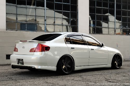 Name:  DSC_7887copy.jpg
Views: 676
Size:  48.2 KB