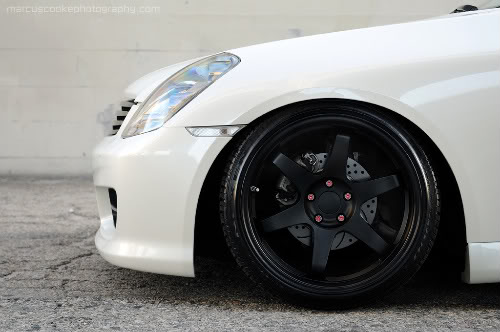 Name:  DSC_7866copy.jpg
Views: 606
Size:  34.0 KB