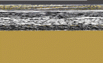 What color would you do-mesh_03.gif