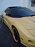 Let me know what you think about these 20"-party-017.jpg