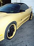 Let me know what you think about these 20"-party-016.jpg