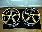 Axis Shine-axis-shine0003.jpg