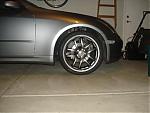 New Shoes-dsc03318.jpg
